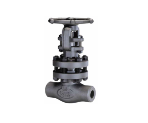 T-pattern Globe Valve – Belfast Controls